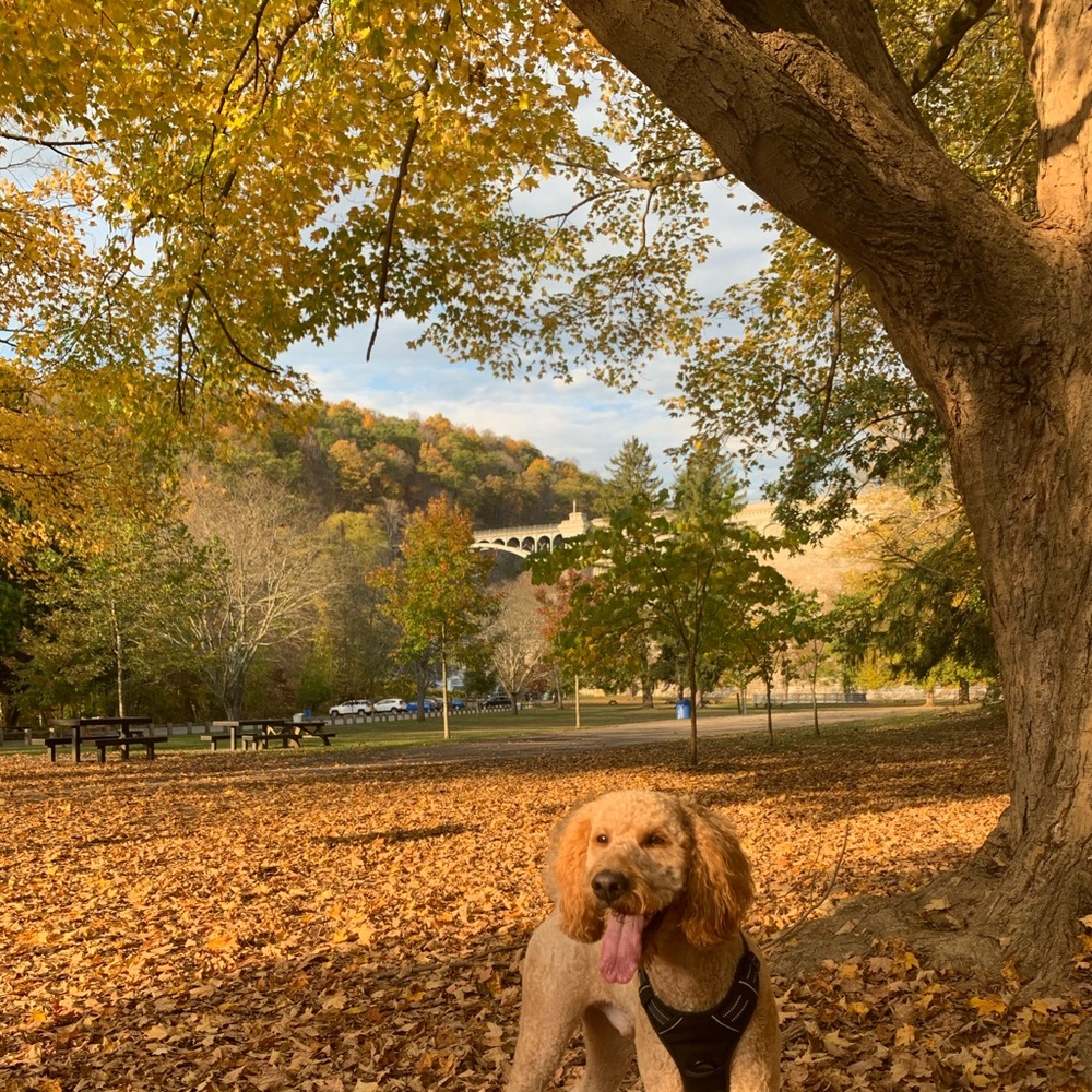 Meet your Posher, Wendy